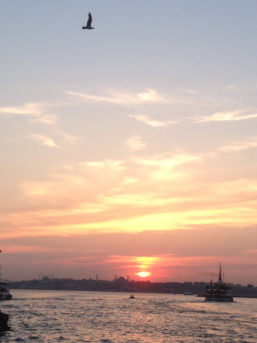 Oguzhan_Sibel's tweet photo. https://t.co/f4kDMfjxRq