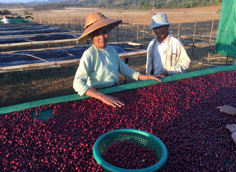 USAID's tweet photo. JOIN US on Instagram for #DCATakeover Day 7: Finance sows success for π©βπΎ #farmers & #smallbiz in #Burma #DCAStories https://t.co/3hARQF6Ylk https://t.co/FRnWJP0j5e