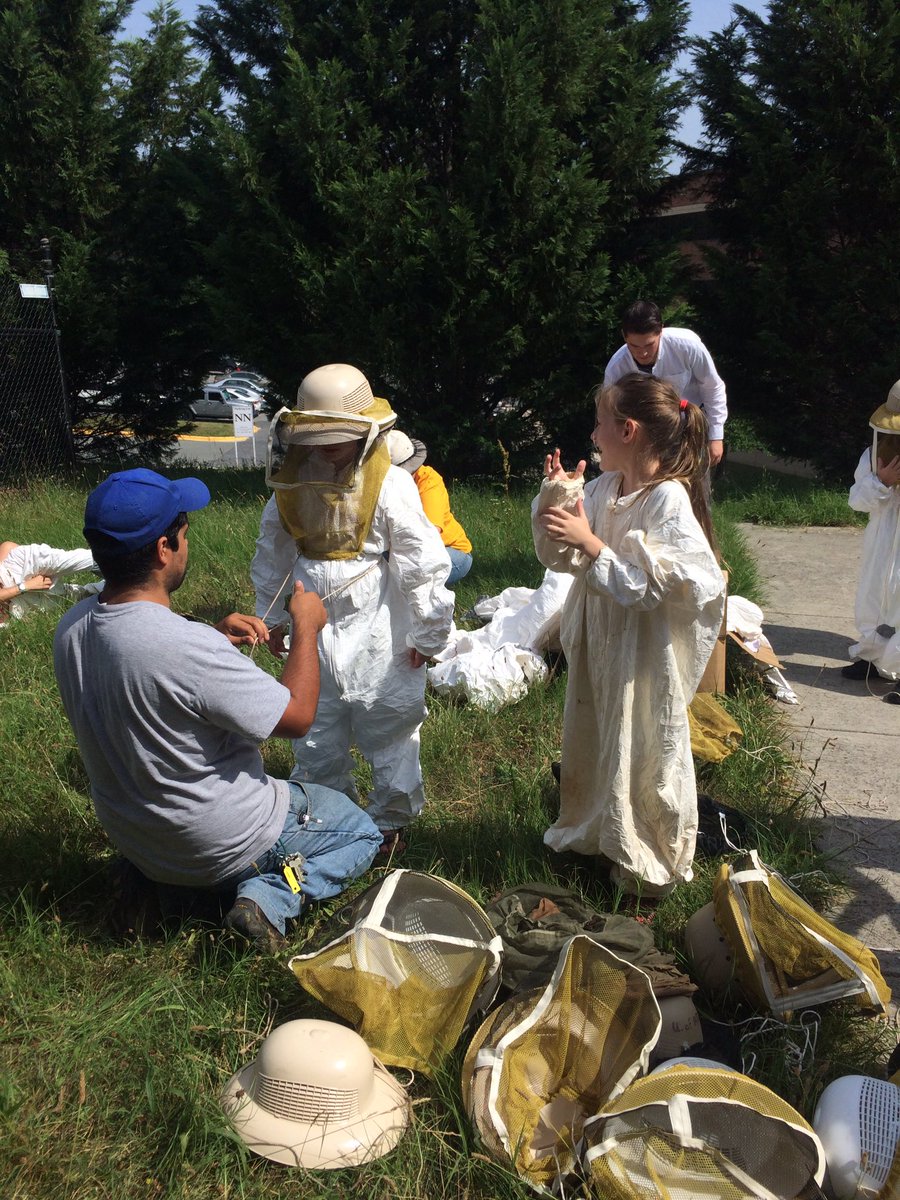 UMDBugCamp's tweet photo. We had a BLAST with the bees! 🐝🐝🐝 #BugCamp https://t.co/EanZ0OPwot