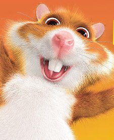 Morgen met een echte AH Hamster op de foto? Dat kan alleen <a href="/ahhetlook/">Albert Heijn 't Look</a> tussen 13 en 18u. Wees erbij!