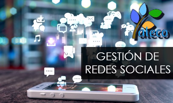 AlecoMedios's tweet photo. ¿No tienes tiempo para gestionar tus cuentas de redes sociales? https://t.co/c7QDlUv3Eu https://t.co/uYP5DYHGri