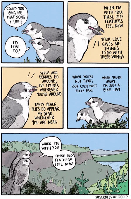 Gray Jay sings a song 