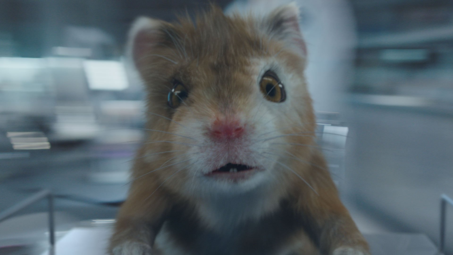 Kia America on Twitter: Kia America on Twitter: