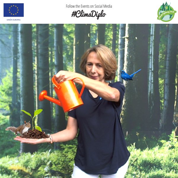 Bosque Unión Europea tweet media