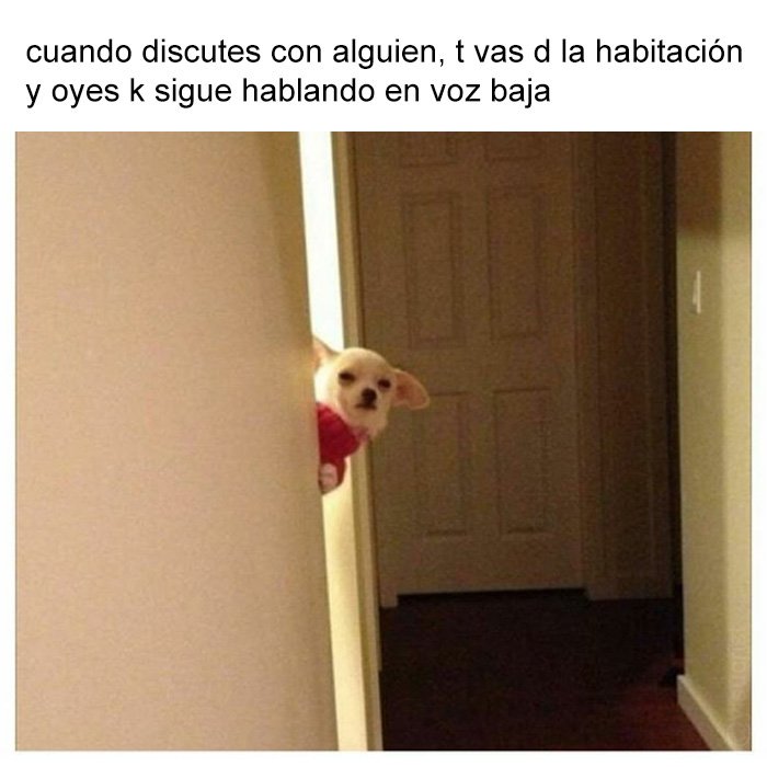 yisucrist's tweet photo. dimelo a la cara bro https://t.co/5wUk7U6TtN