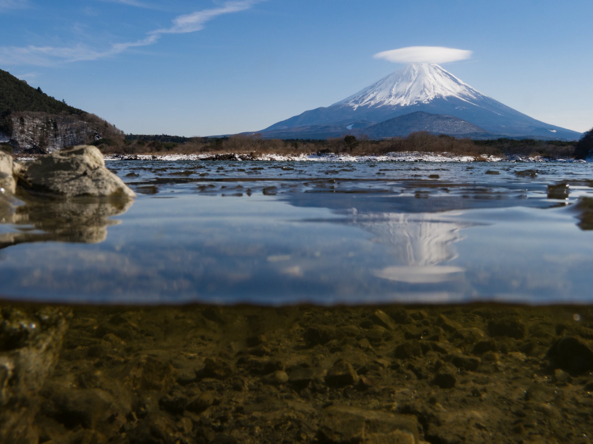 ジェットダイスケ写真展開催中 サンディスク裏技フォトコンテスト 水槽にカメラを入れて浅瀬へ水没しない程度に配置 防水カメラや高価な防水ハウジングなどがなくても半水面写真が撮影できます 手軽な上に好きな交換レンズが使える利点も T Co