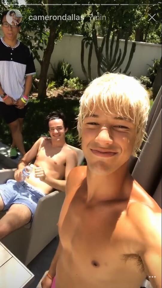 camzpatrick's tweet image. Baby pigeon (: