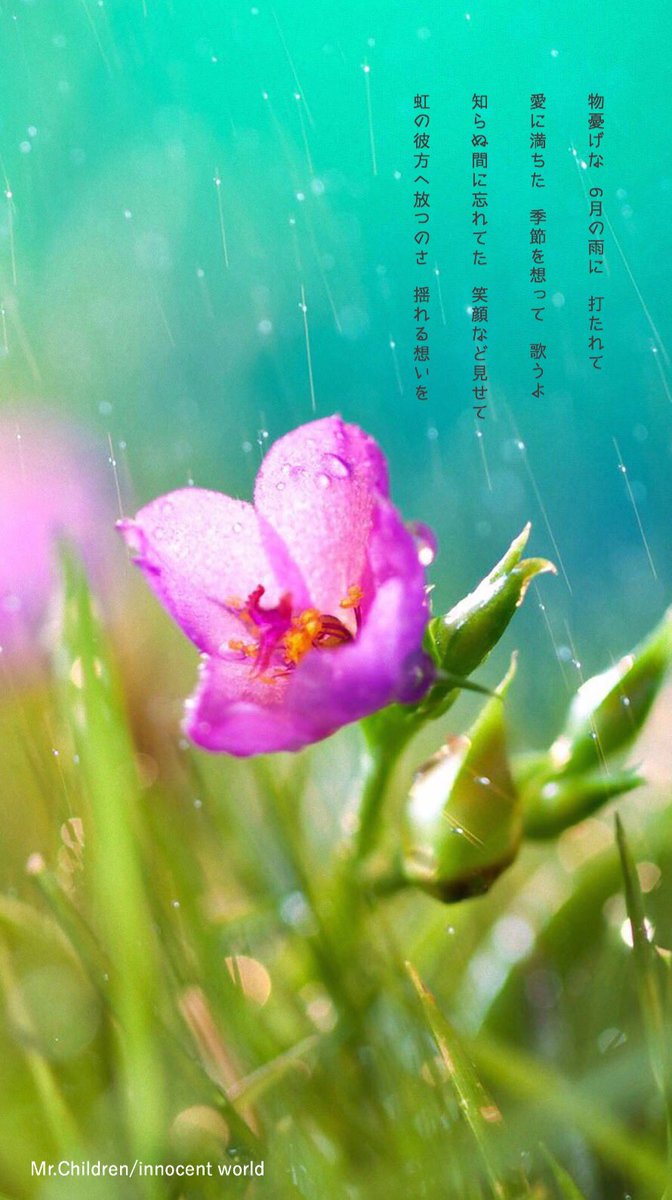 Masaya No Twitter Innocent World 物憂げな 6月の雨に 打たれて 愛に満ちた 季節を想って 歌うよ 6月 が終わる 同時にこの一年の半分が終わる 時の流れの早さと 物憂げな雨で心も沈みがちだけど これから澄み渡る青空の季節が待っている だから今日も笑顔