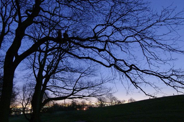 NoteModenesi's tweet image. Gli alberi non hanno bisogno di noi, ma noi abbiamo bisogno degli alberi notemodenesi.it/2017/gli-alber…