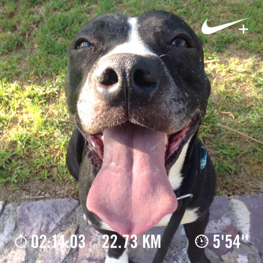 tkk_fsol's tweet photo. #Nike #nikerunningclub #nikerun #nikeplus #nikedogs #run #running #corre #fit #fitness #Aguascalientes #Mexico https://t.co/aKu3IrU29U