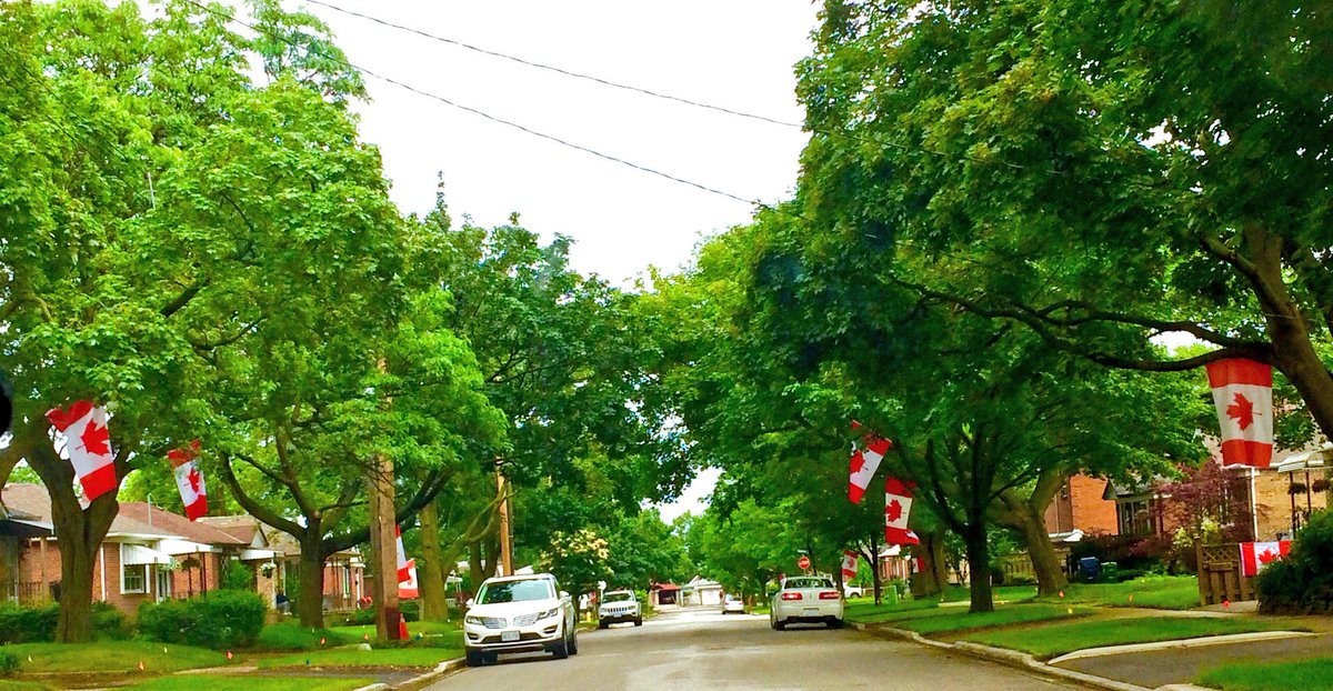 lynromanko's tweet photo. One of the prettiest flag lined streets in #AlderwoodTO. The #MapleLeaf is out throughout #EtobicokeLakeshore #canada150 https://t.co/c6SQjqJobC