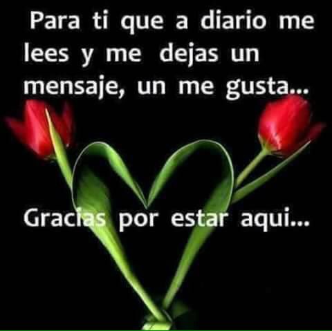 Palmadepuleo (@palmadepuleo1) on Twitter photo 