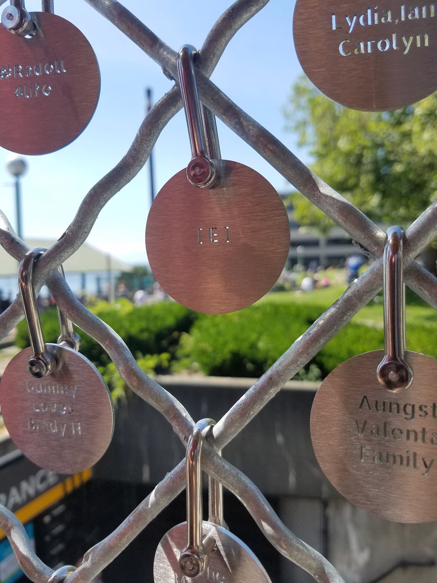 Johnny Le tweet media