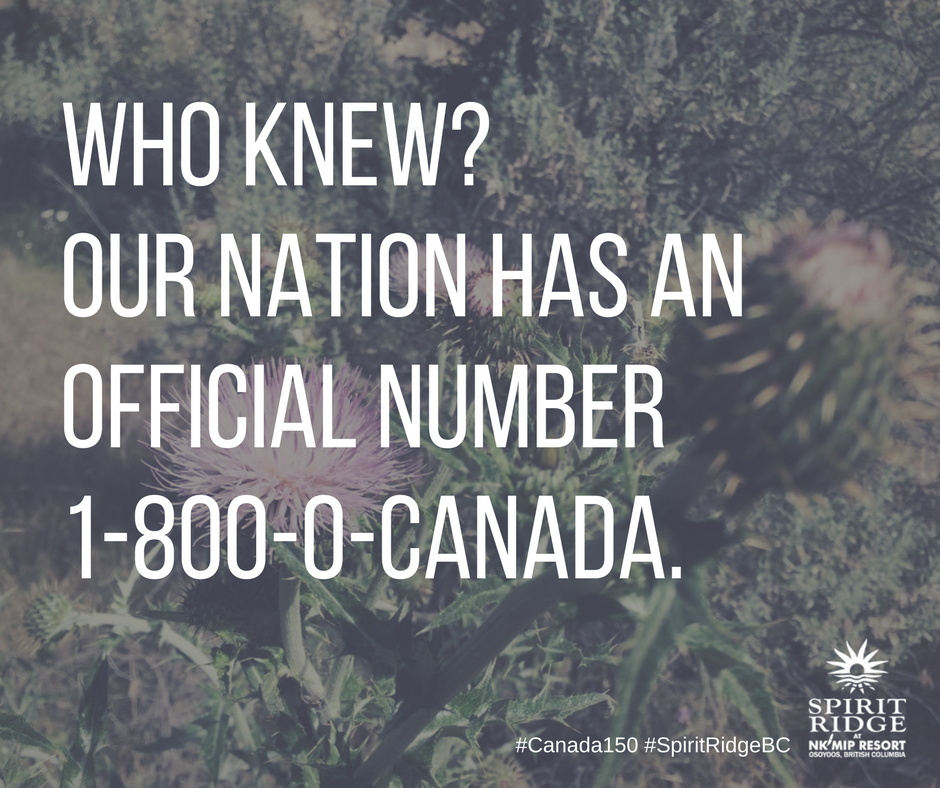 ..And YES we called it! ☎️ The shortest call wait time to Service Canada we've ever had! #bravo 👋 #OCanada #Canada150 #spiritridgebc