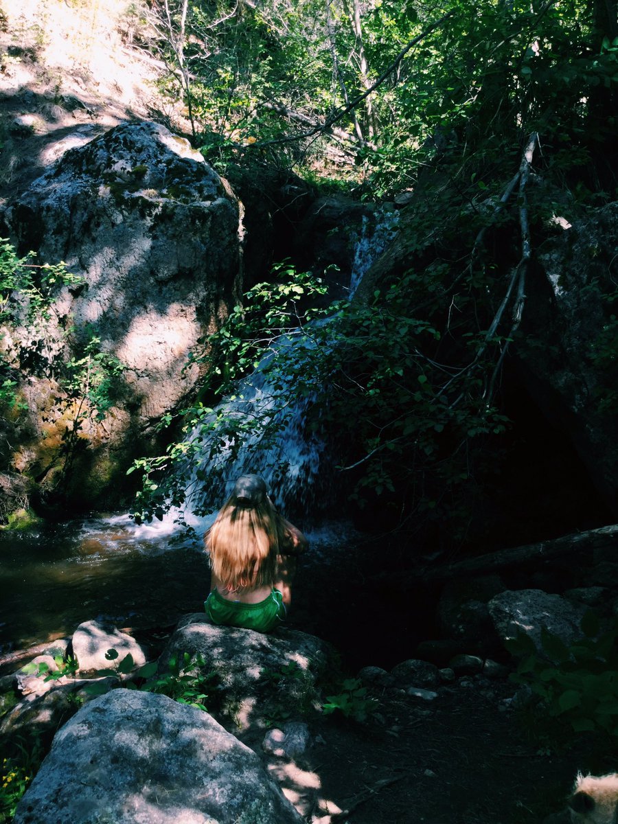 lisettekeating's tweet photo. New Mexico 🌿💚 https://t.co/9NBjQcFRiW