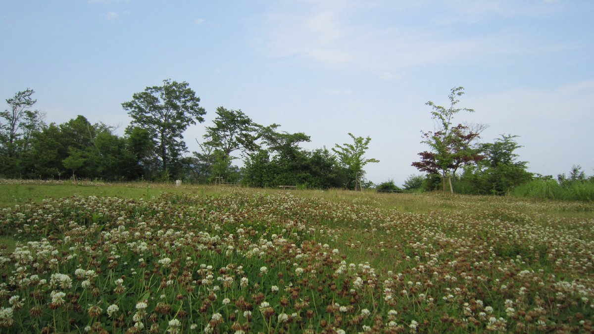 舘ノ山公園山頂（本丸跡）からのぞむ信夫山方面です！福島市の中心市街地まで、広く見渡せるようになっています😆眼下の森林には、佐藤氏一族の菩提寺である医王寺も見ることができます！