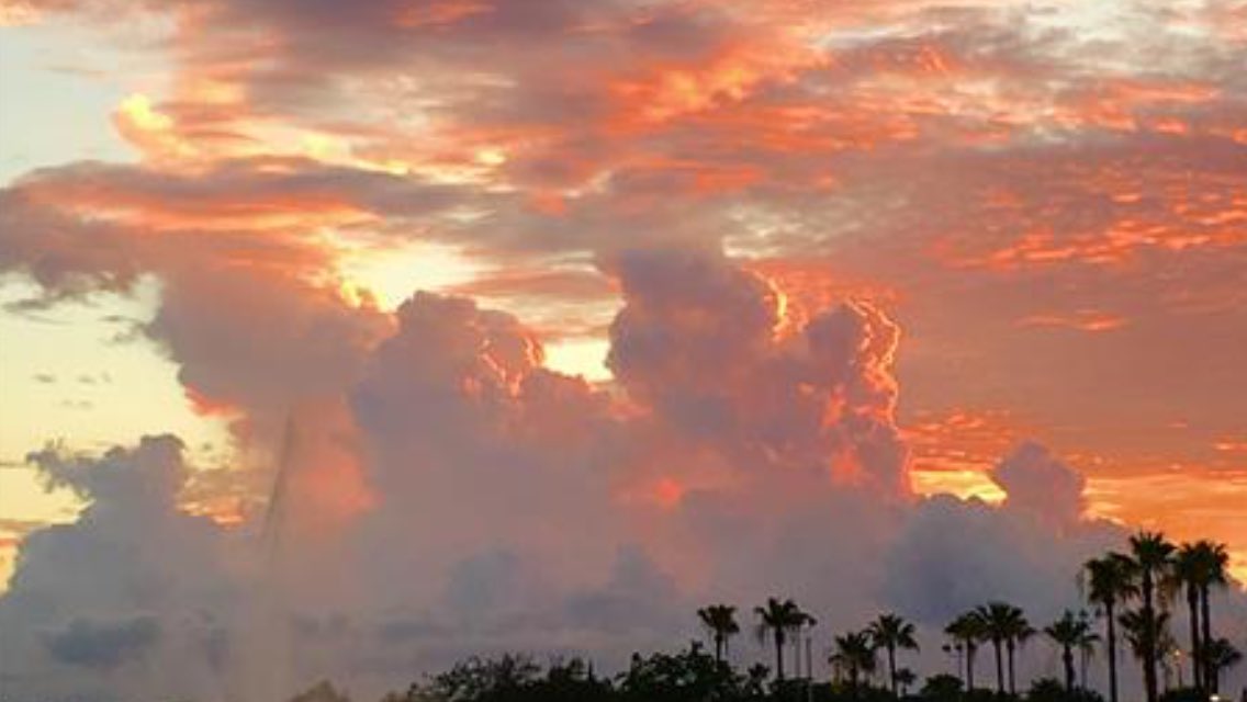 BillBishopKHOU's tweet image. Dream...dream away
Magic in the air.
The sky over west Houston.
#khou #HouNews
Credit:  Kathleen Falcona
 khou.com