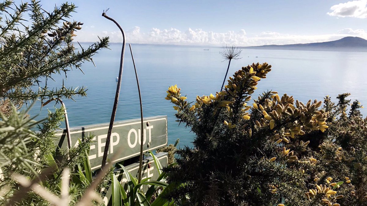 MineDoubleSpace's tweet photo. Amazing view from Ladies Bay, Auckland https://t.co/nypypt1LFV