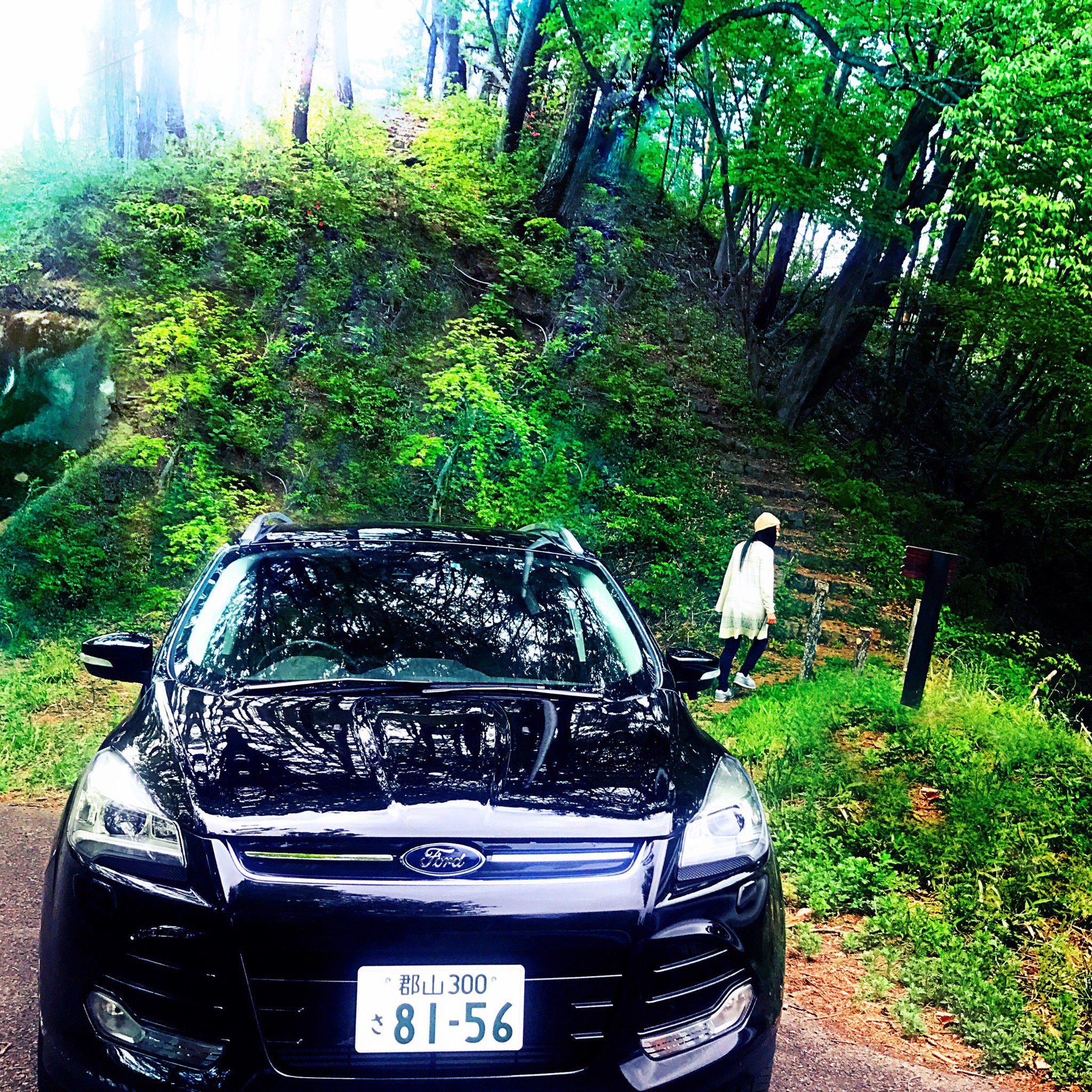 ホウセイ 公式 こんな所に階段がっ どこに繋がっているんだろう Ford フォード Kuga クーガ Car 車 Suv Green 自然 階段 山道 烏峠 郡山 泉崎