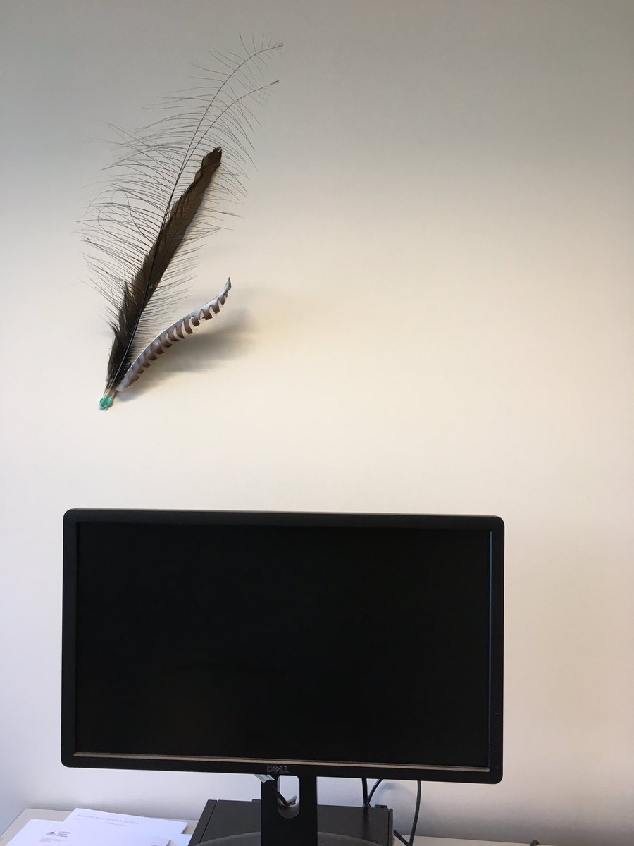 LuLu_gOsinkhole's tweet photo. @TerraThea @LTecology @ANUFennerSchool Sucks your @LTecology gig ends today. Your desk looks like you also did a bunch of field work for the #VicAshStudy
#Lyrebird ping @lach26 https://t.co/vNQJp3cntz