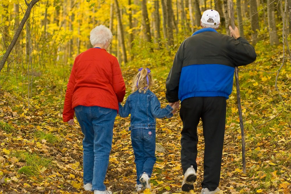 Wondering what to do on the weekend? How about spending some time at a park: bit.ly/2tby2IO
