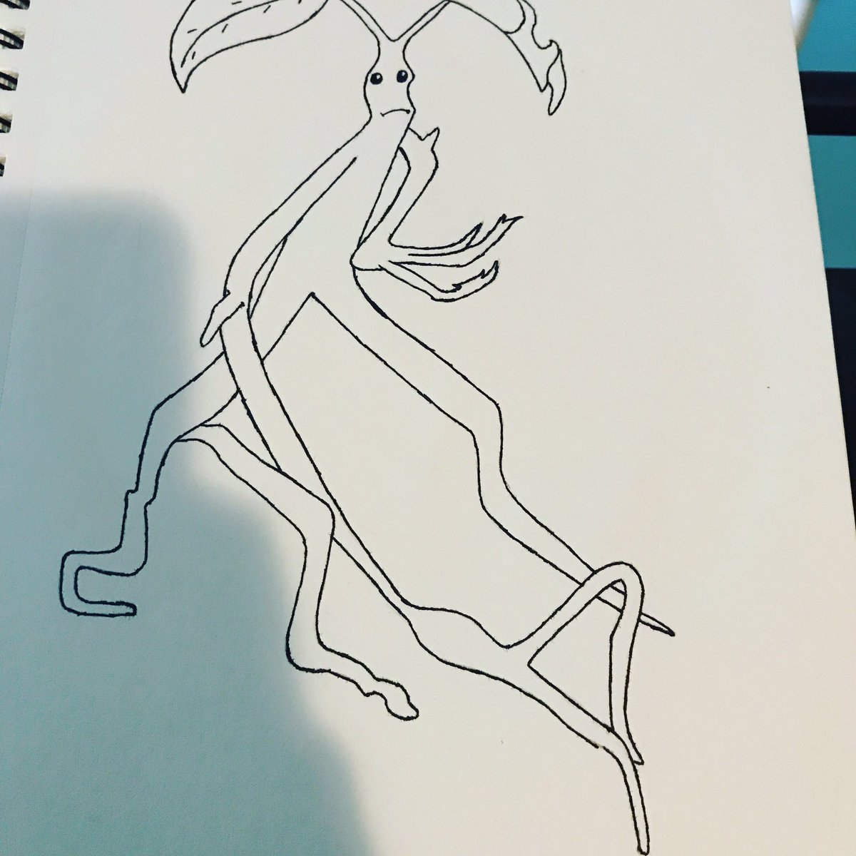 Scentwithroxanne On Twitter Little Draw I Did Pickett Bowtruckle Fantasticbeasts Newtscamander Https T Co Dsp9nhs4on Twitter