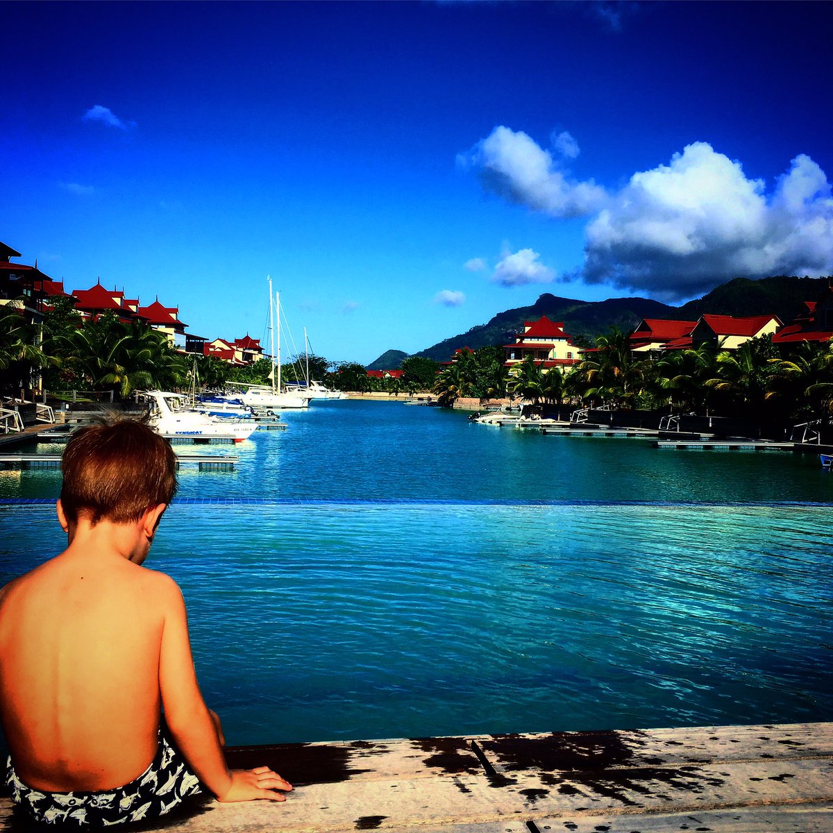 lazuli_blu's tweet photo. It's time to enjoy what you see #LuxuryTravel #VisitSeychelles #ILoveSeychelles #IslandVibes #FridayFeeling #IslandVibes #Bliss #Tropical https://t.co/3LW2pNPXxE