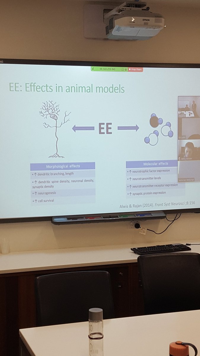 strokeCRE's tweet photo. Animal evidence around #environmental #enrichment - benefit of providing novel physical cognitive stimulation @slootal #strokeCRE https://t.co/FwyjPKoaIn