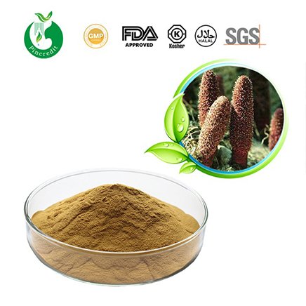 herbsextract's tweet photo. Popular Health Wine Raw Material, Cynomorium extract
Invigorating kidney strengthening Yang
https://t.co/s03nWLFdzb
https://t.co/ptSmq24KpH https://t.co/fMvES155rz