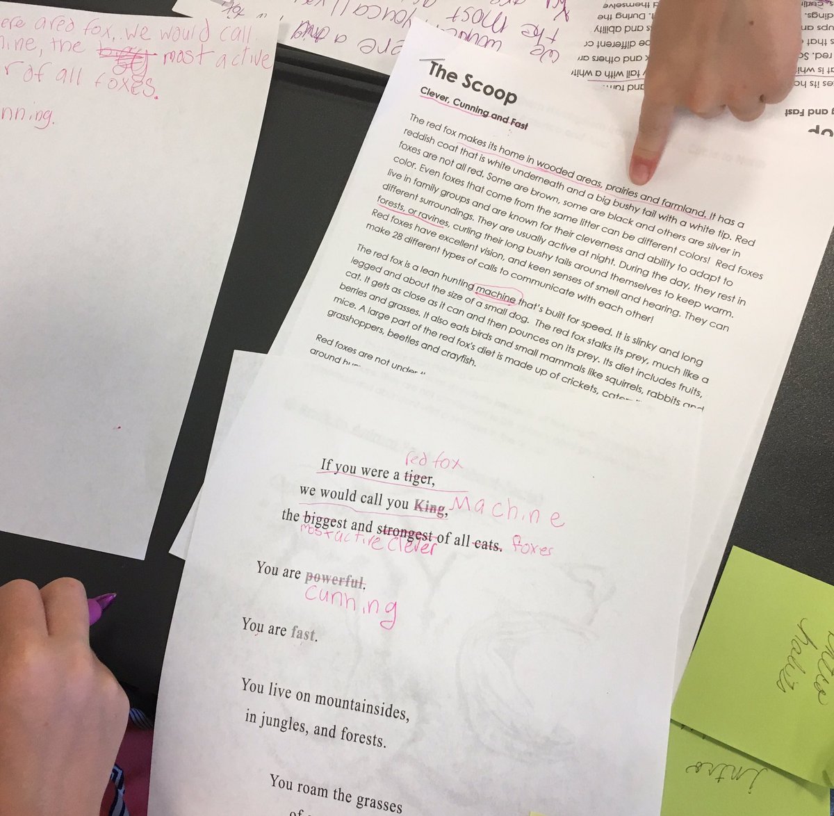 Amybrownca's tweet photo. Fun writing informational text today during Bobcat Academy! Mini research for the win! #ucmwp https://t.co/k1V4H9waZI