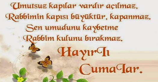 Selman Bagci (@faebf8db4f8e443) on Twitter photo 