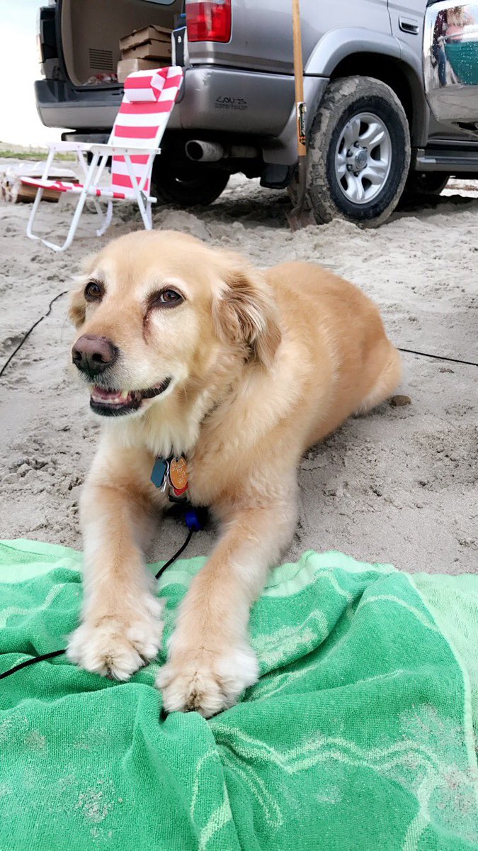 mathrules1982's tweet image. Finally got a bew phone!  So now my pics can be clear again!