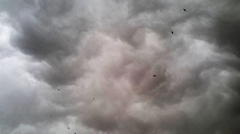 faizanrz's tweet photo. #Rain and Karachi. A #LoveStory? Read the complete story on this link: https://t.co/0Wik8YIqJw
#BlogCoverage #Karachi #KarachiRain #Blog https://t.co/tH4ftgCW6F