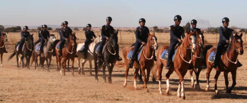 SAPoliceService's tweet photo. #sapsEC Special project initiated to capacitate #MountedUnits aiming to ensure #RuralSafety and #PoliceVisibility ME
https://t.co/LBXwPbqP6r https://t.co/ciJYwt1ctY