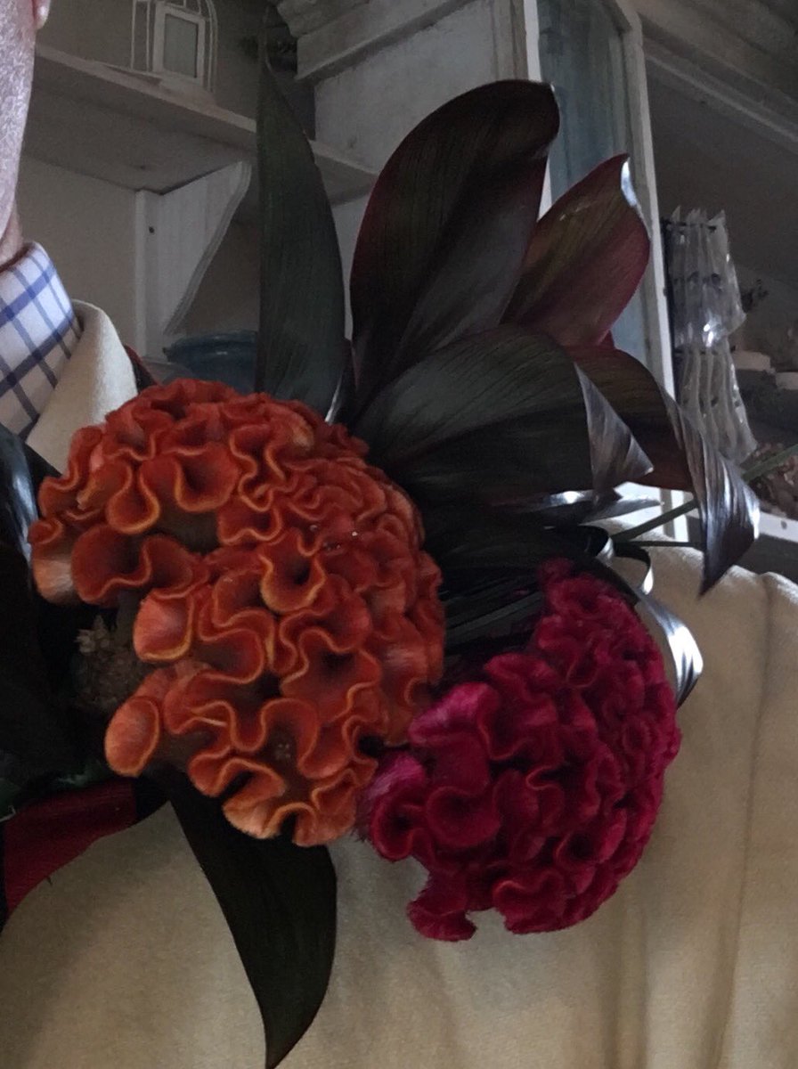 Thanks to the <a href="/WHITE_GDN/">WHITE GDN FLORIST</a> florists in Henley for another great buttonhole on National Flower Day <a href="/HenleyRegatta/">Henley Royal Regatta</a>