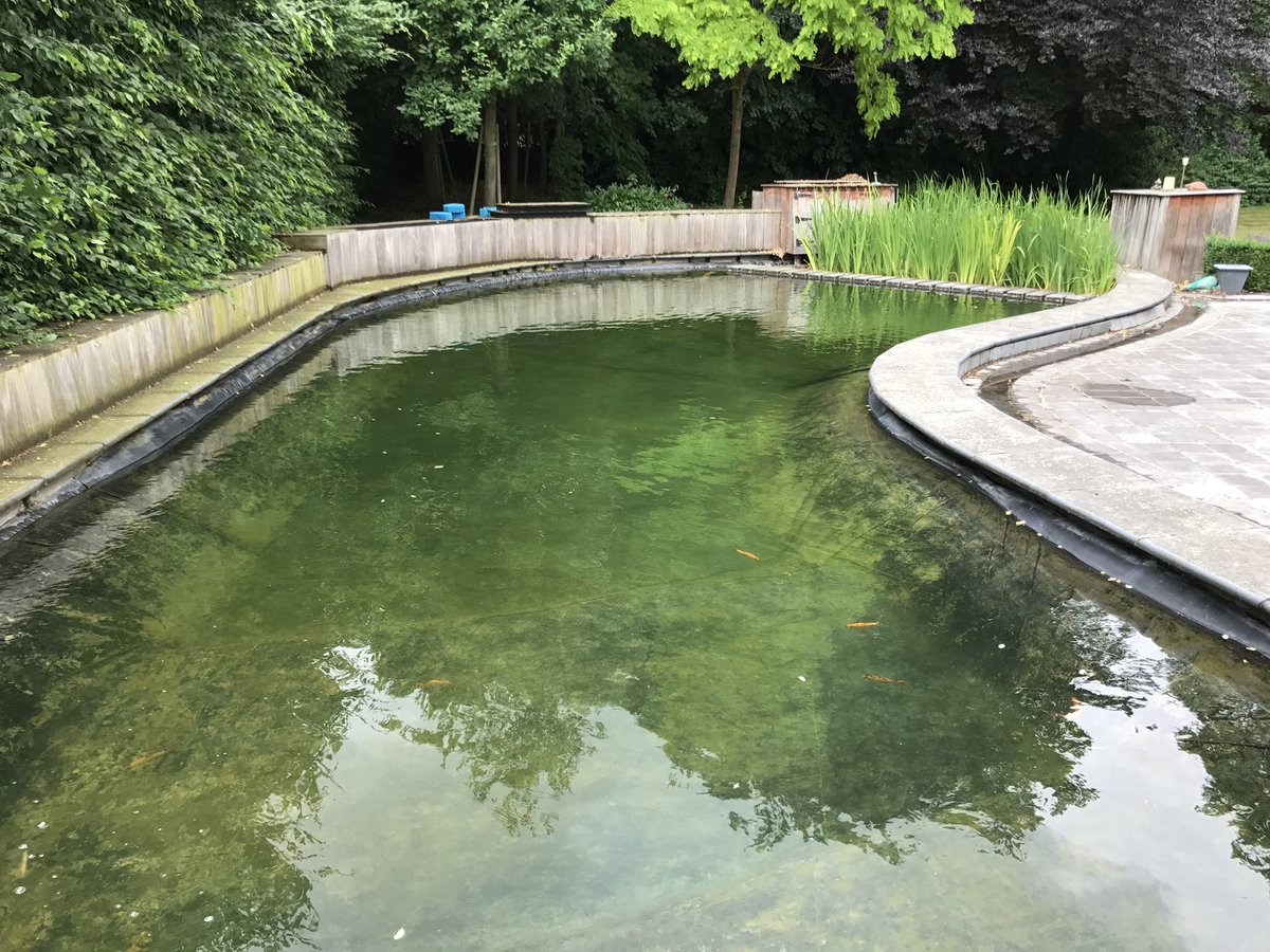 Dr Edwin VanderOuderaa tweet media