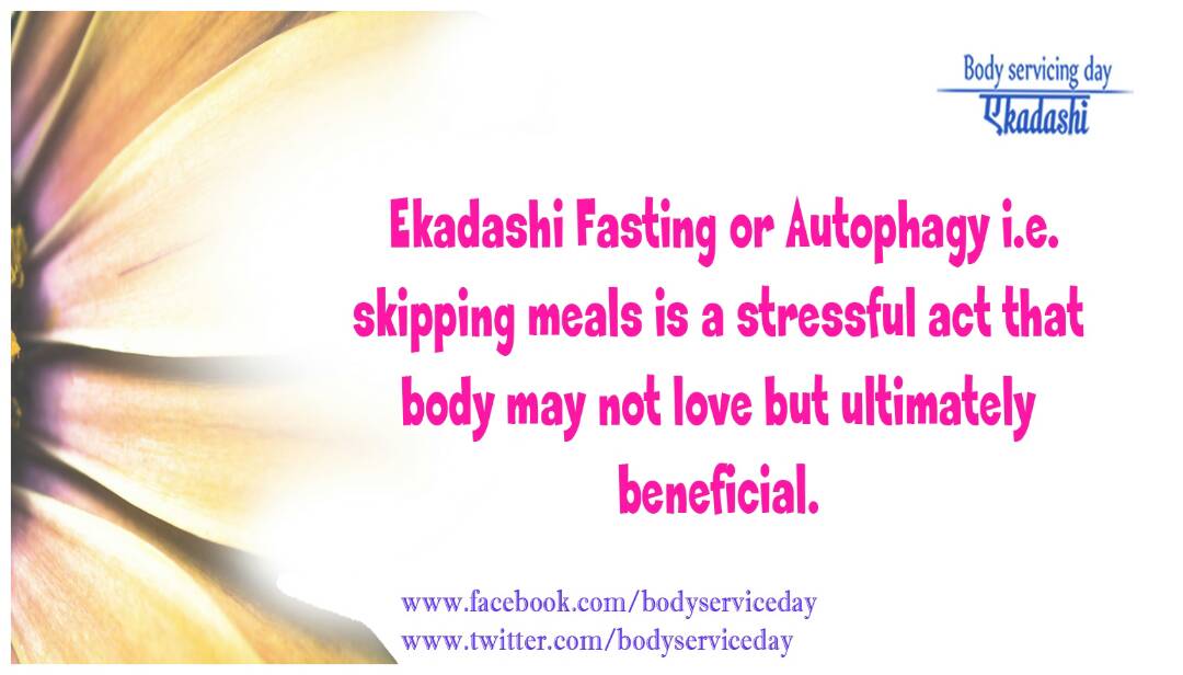 Ekadashi Fast triggers metabolic pathway called Autophagy which removes waste material frm cells.
#BodyServicingDay