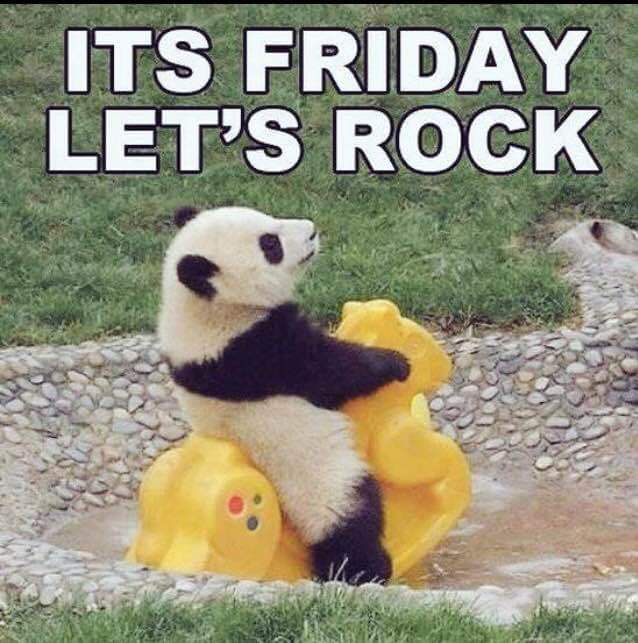 Wayne Collier tweet media