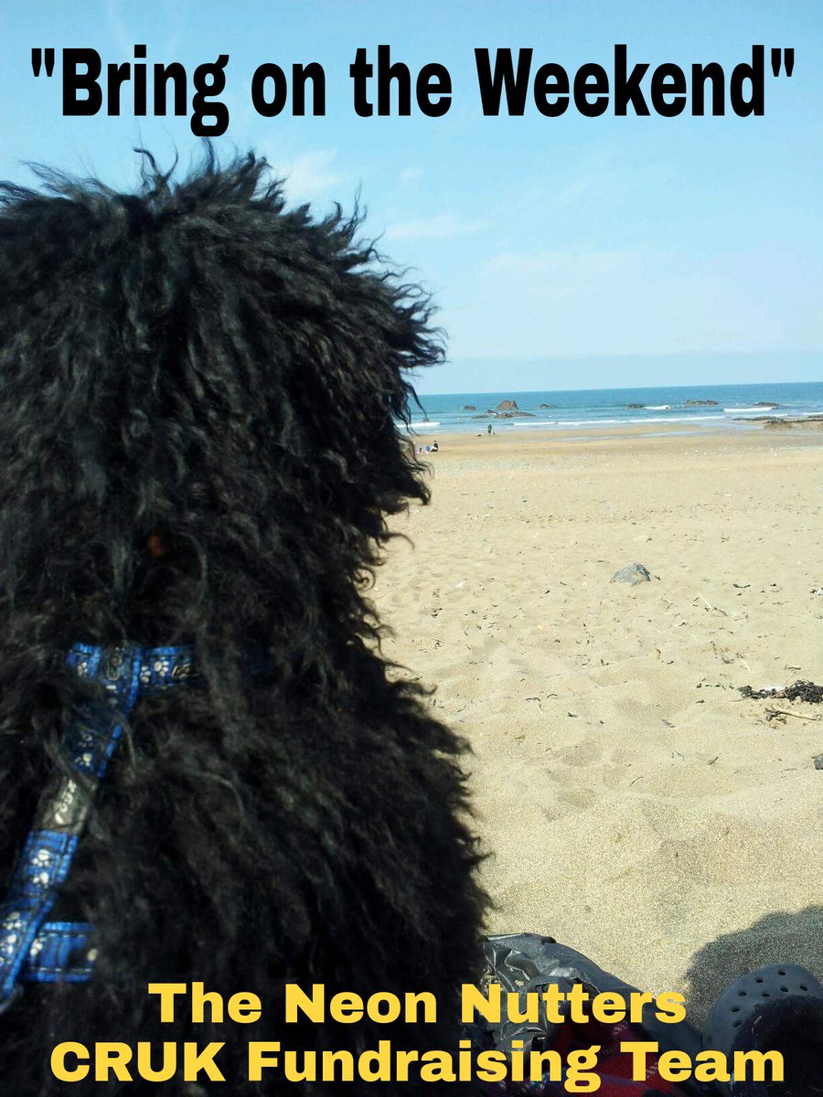 TracyDarke's tweet photo. #CRUK #relayplymouth #lovemydog

Check out our fb page 💛💜💚💙🖒 https://t.co/Om6jbZaMqw