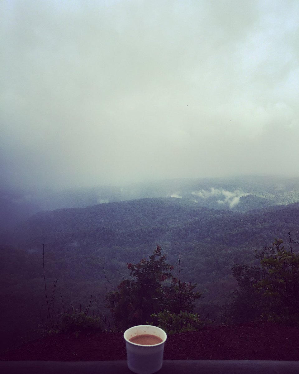 MeghanaGaonkar's tweet photo. Deep Lushes, Wild Haven, Forest Department & Naturalists..what an enriching experience this was!! #ForestsOfKarnataka #SaveWildlife #Dandeli https://t.co/gCWJyDhMu9