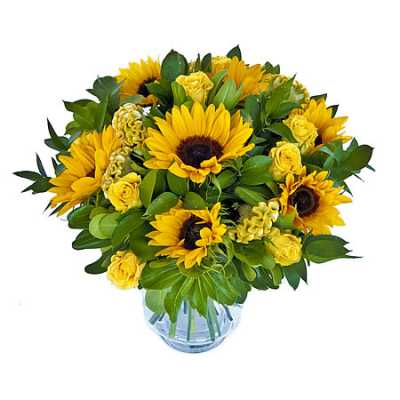 Battle_Butler's tweet image. Ah, it's your birthday I hear, @myindoorvoice. Please take these flowers as a gift and I do hope you have a love day.