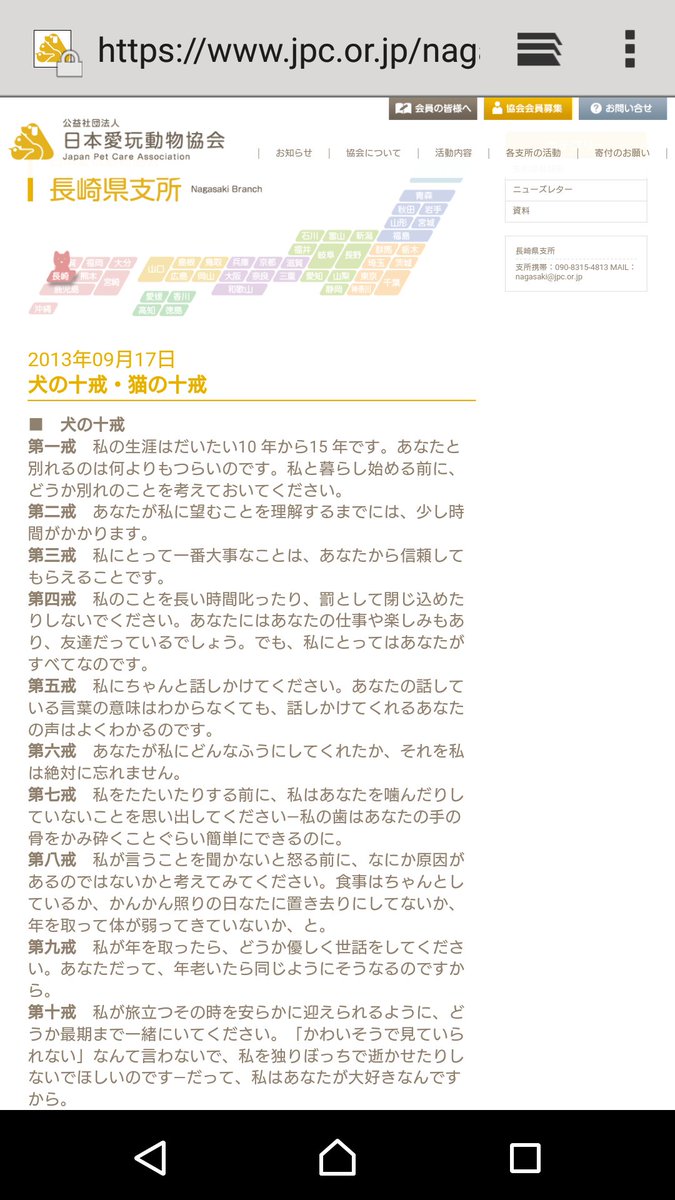 犬の十戒 に対してフリーダムすぎる 猫の十戒 に笑って泣く猫好きのみなさま 私は年をとってもかわいいのです Togetter