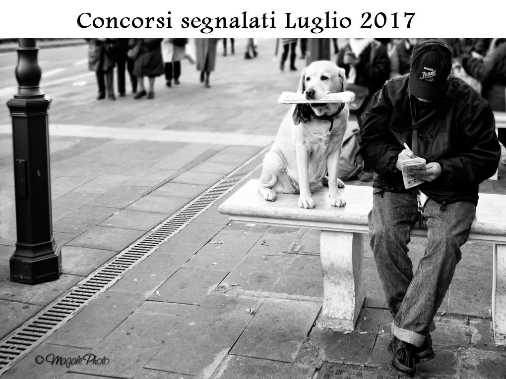 Spazinclusi3's tweet image. Le scadenze si avvicinano: la nostra selezione dei concorsi di luglio.
spazinclusi.org/news/concorsi/…