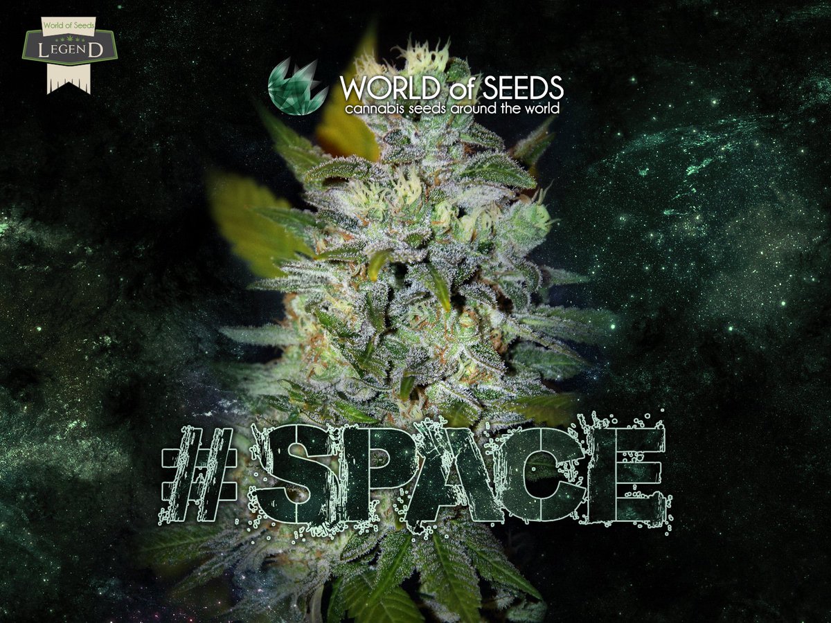 WorldOfSeeds's tweet photo. #GoodMorningWorld 
Have a green weedkend ;) 
#Space #WOS https://t.co/GQcdsd0JC2