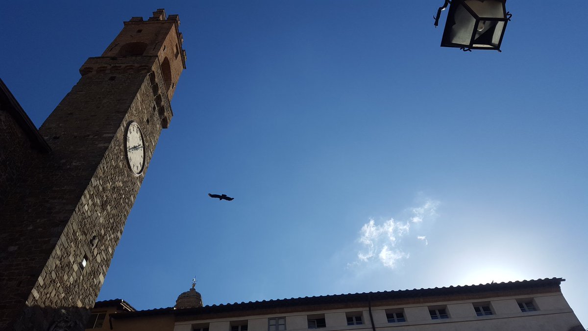 7density's tweet image. Good morning #Montalcino! @ElsenburgWine