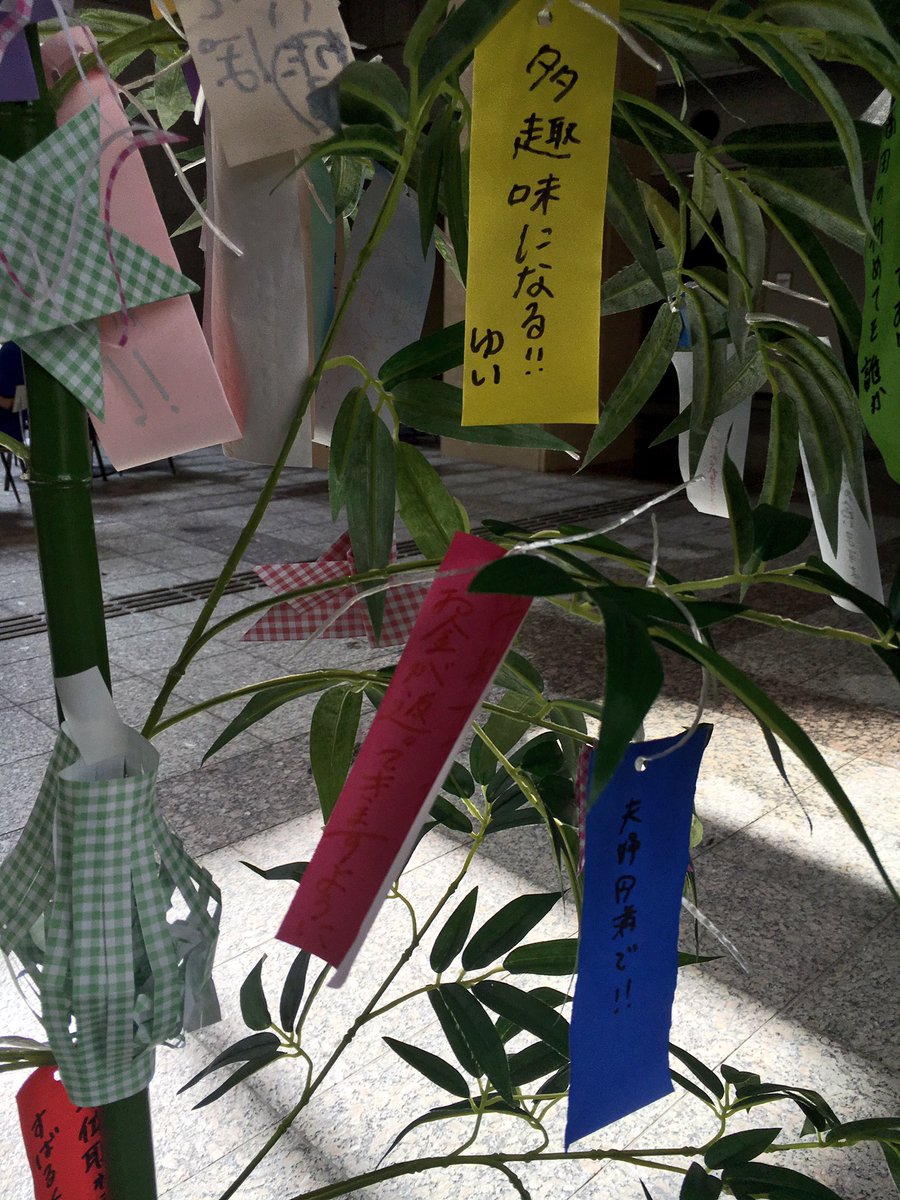 県立広島大学 No Name 昨日は食堂前に笹を設置しました 部員が愛を込めて作った折り紙も飾りました ぜひ皆さん短冊を書いてください そして7 7 金 の18 00からは中庭 食堂で七夕イベントも行うので 都合の合う方は気軽に遊びに来てください お待ち