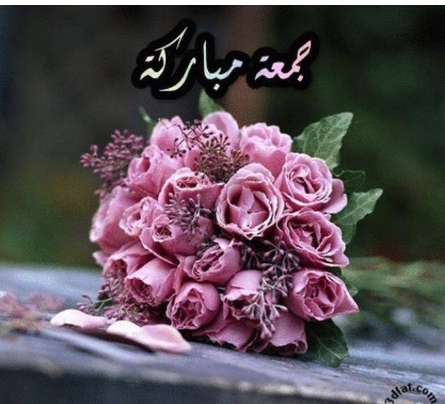 @readabdalreda @eO8LsN95T8fofXn @ruevtw1RPjT9gWF <a href="/Aaqp3JvCklwTDJm/">حميد جمعة</a> <a href="/jawad321581/">& Jawad..Abd➰</a> <a href="/talbmhmdt/">طالب محمد الزبيدي</a> @hassanMusawi3 <a href="/noorali271/">Noor Ali</a> <a href="/gttttgti322221q/">محمد التميمي</a> @Hadeel1988L