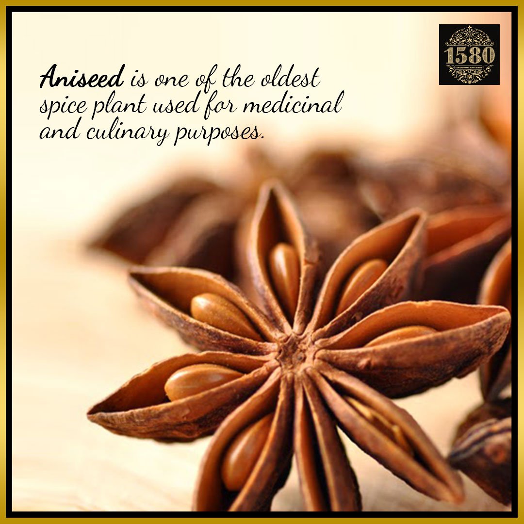 1580Restaurant's tweet photo. Aniseed is multifaceted #aniseed #benefits #medicinal #culinary #multipurpose #superpower #miracleseed #medicine #spice #flower https://t.co/GeenORZ3uM