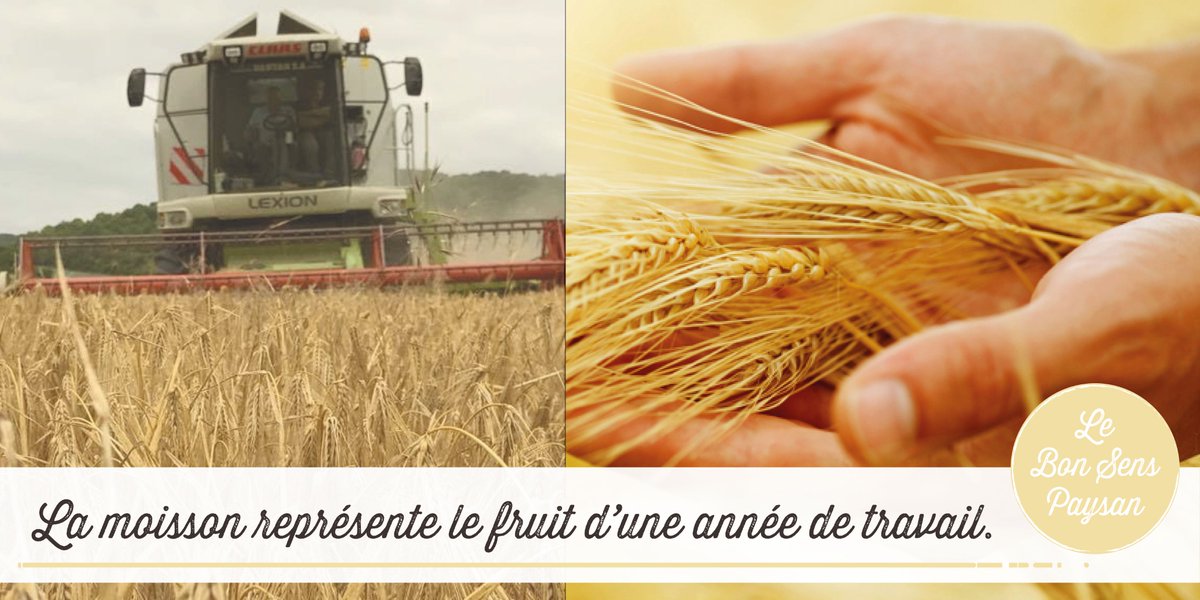 AgriculteursIDF's tweet photo. 😊🌾☀️Tous nos #agriculteurs franciliens sont entrés dans la période #intense de travail, qu'est la #moisson ! #avosmoissbatt #boncourageàeux https://t.co/3O69lcWCH8