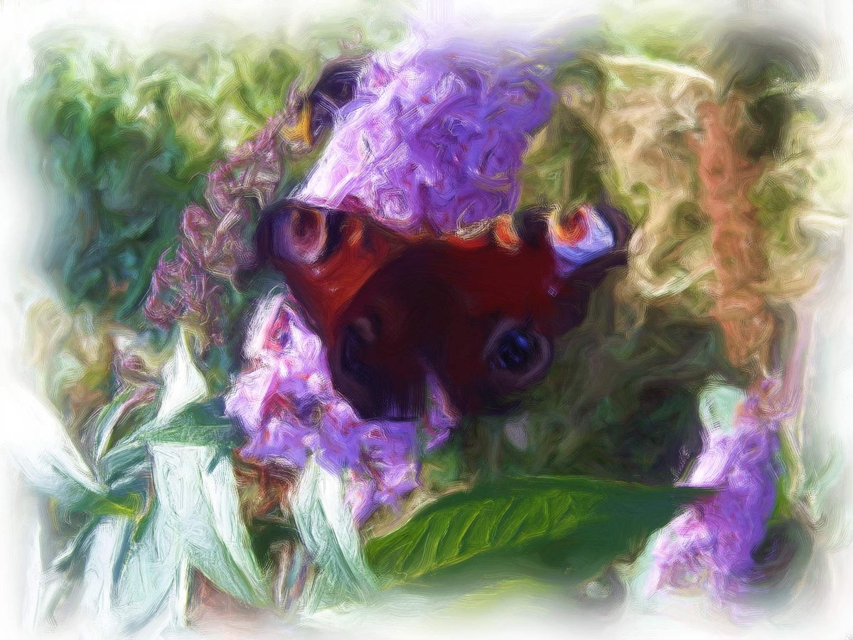 #Art #Exhibition <a href="/paulerspury/">Paulerspury</a> August bank holiday: paulerspuryparish.org.uk/art-exhibition…